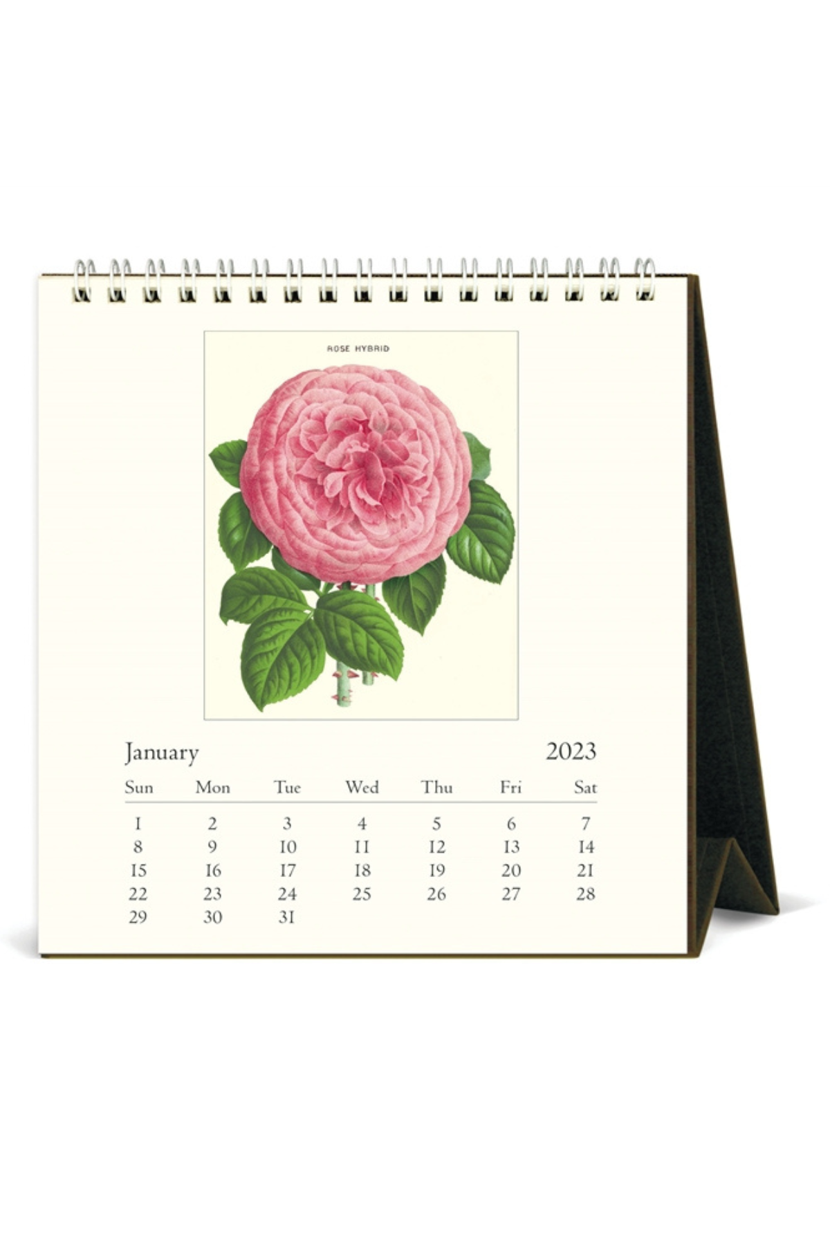 Desk Calendar Botanica