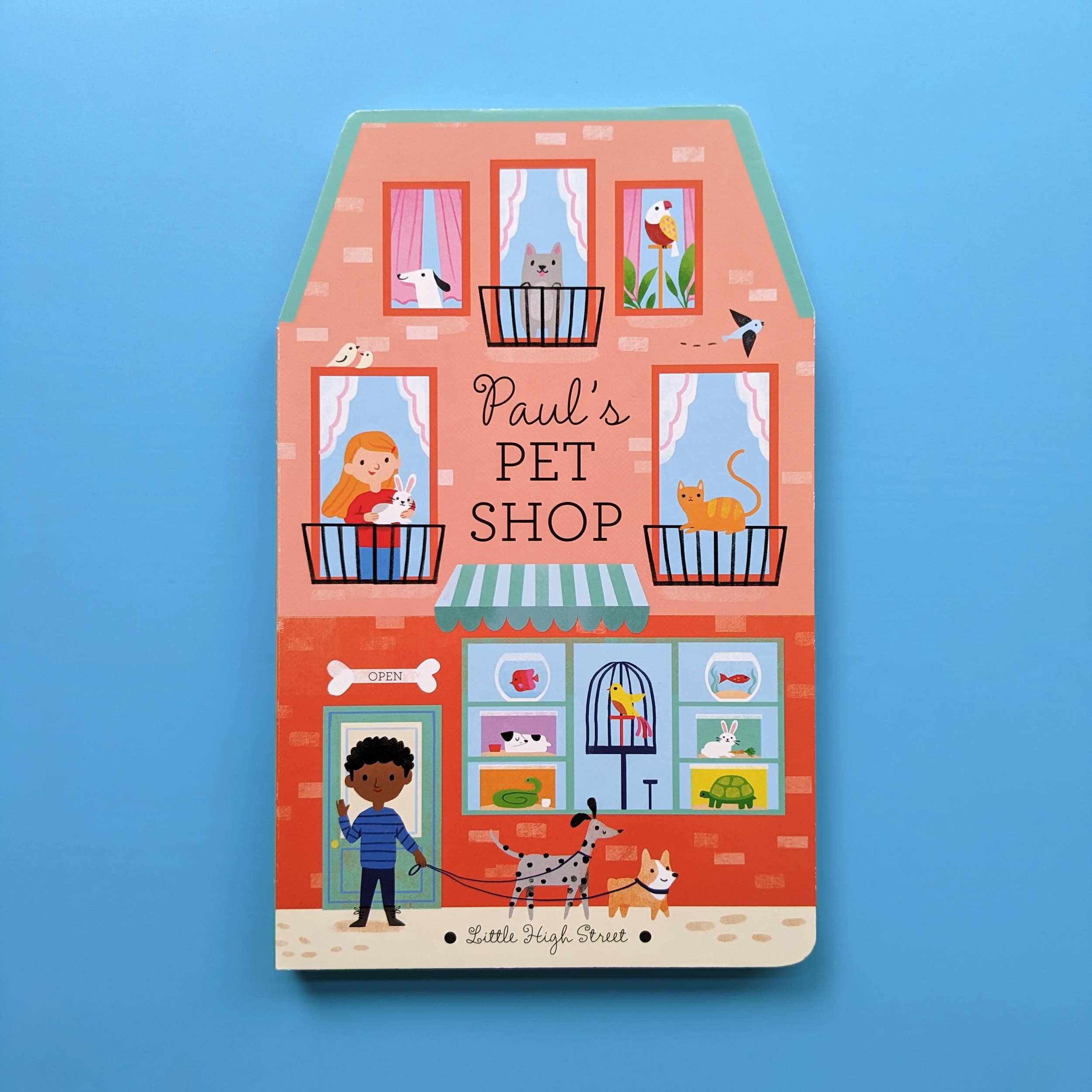 Paul's Pet Shop - Little High Street Book