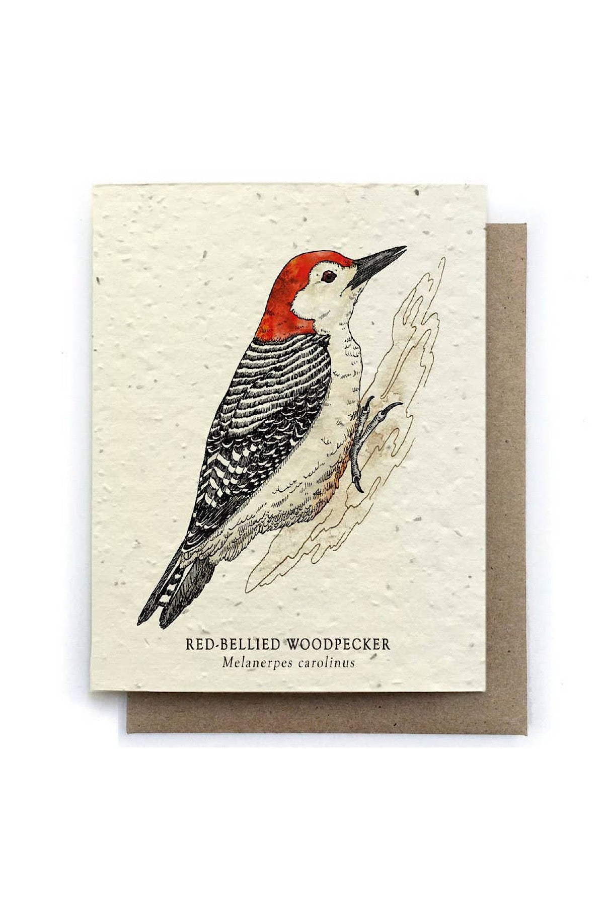 Plantable Seed Greeting Cards