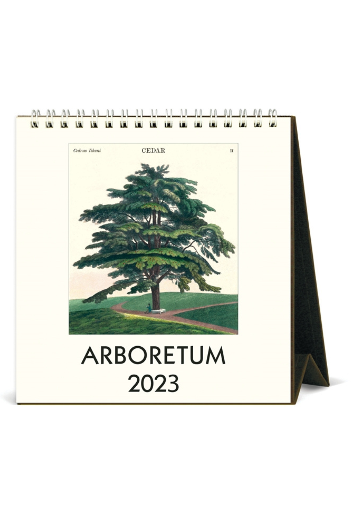 Desk Calendar Arboretum
