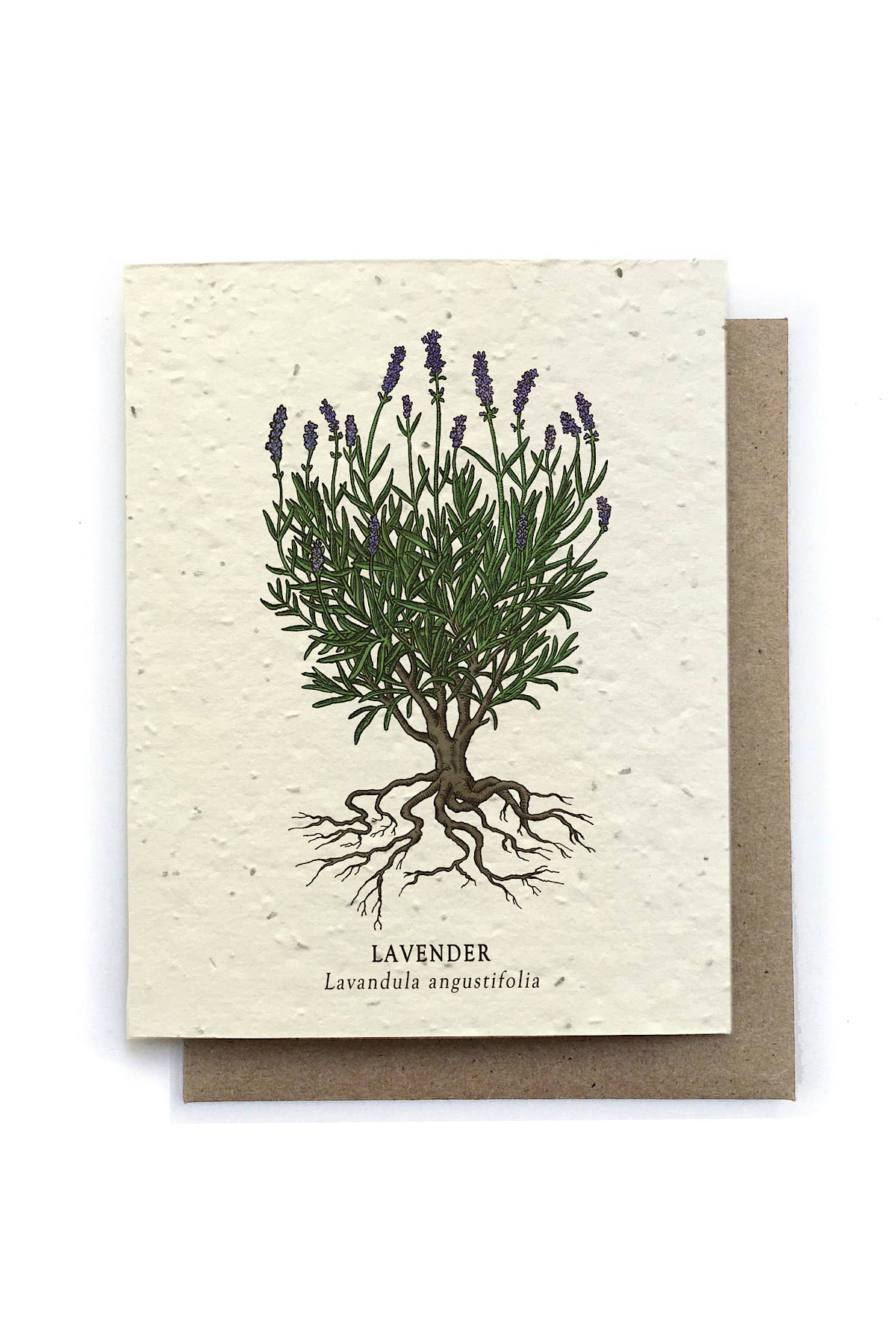 Plantable Seed Greeting Cards