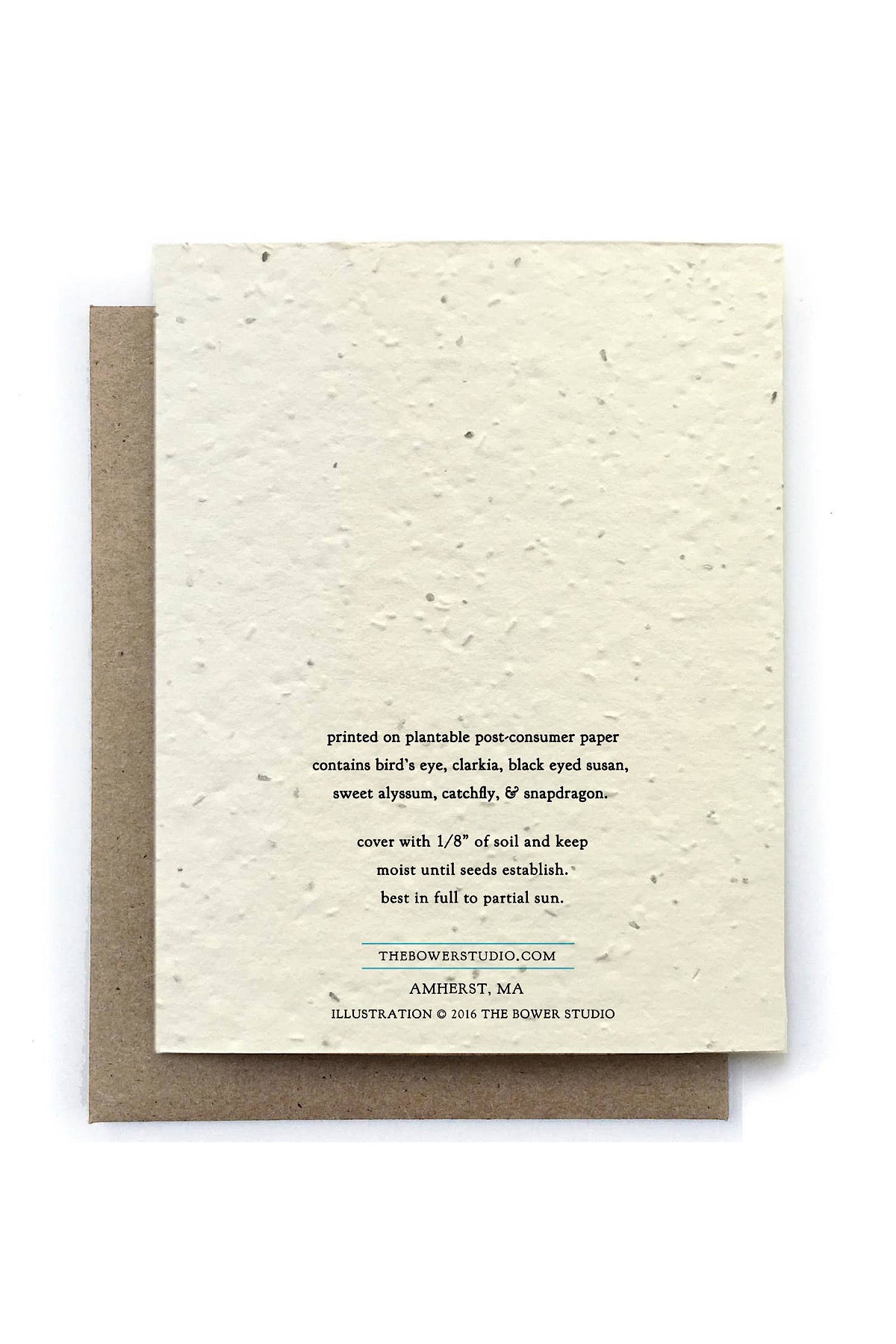Plantable Seed Greeting Cards
