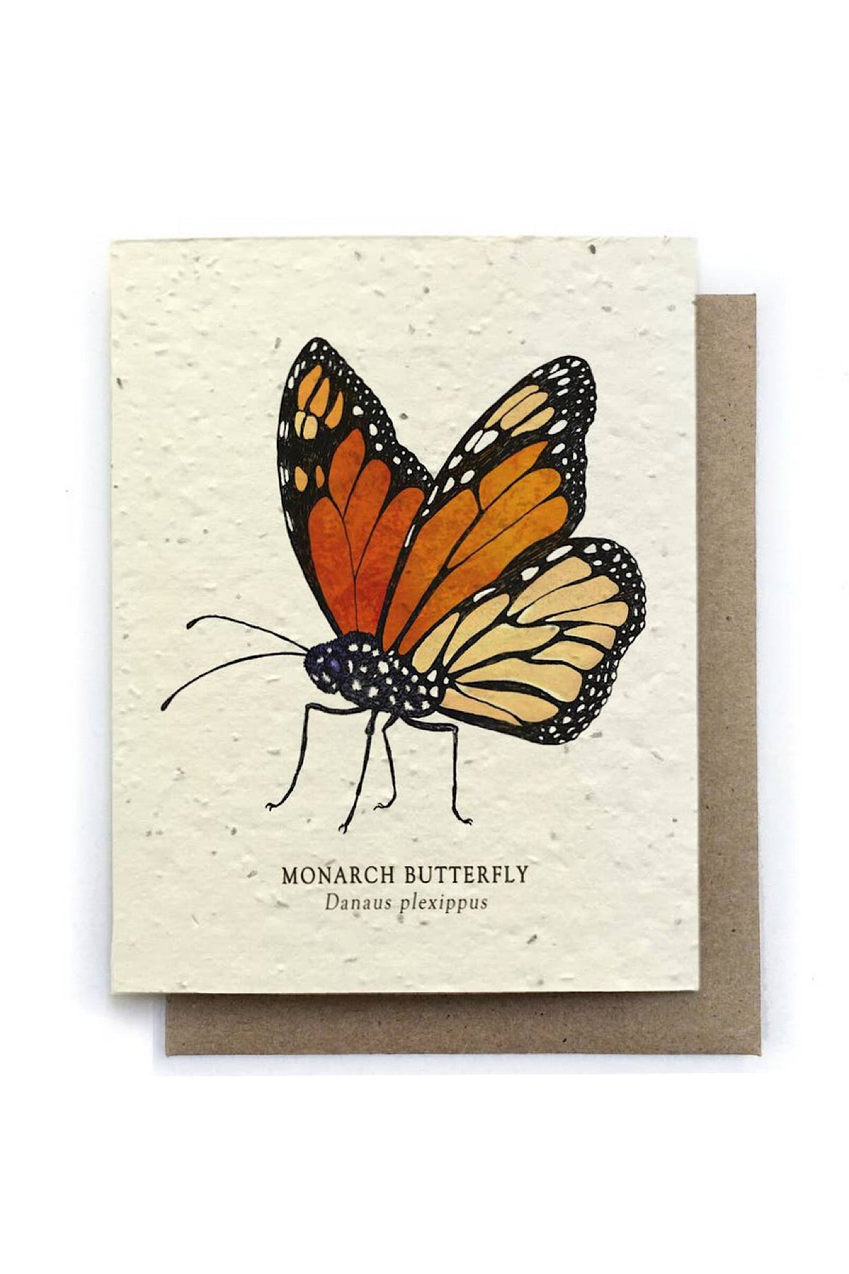 Plantable Seed Greeting Cards