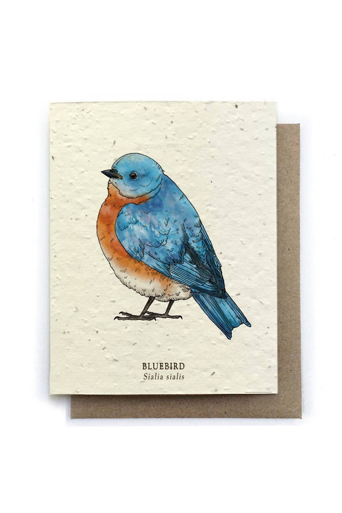 Plantable Seed Greeting Cards
